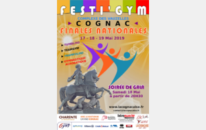 FESTIGYM : CHAMPIONNAT DE FRANCE  TEAMGYM