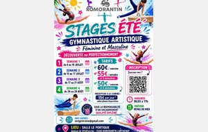 Stage d'été 2026